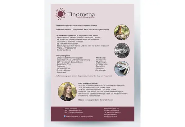 Flyer Finomena